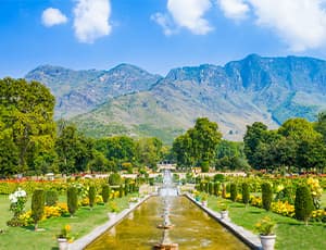 Srinagar Gulmarg Pahalgam tour